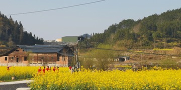 40309