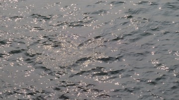 93C7310C-2618-4008-B48F-C37B294B07CF/L0/001