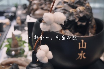 144863ED-1449-463C-A4D0-8906CE544151/L0/001