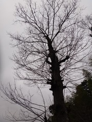 847259
