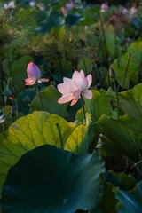 001