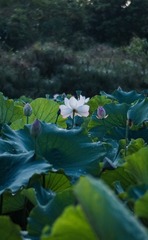 001