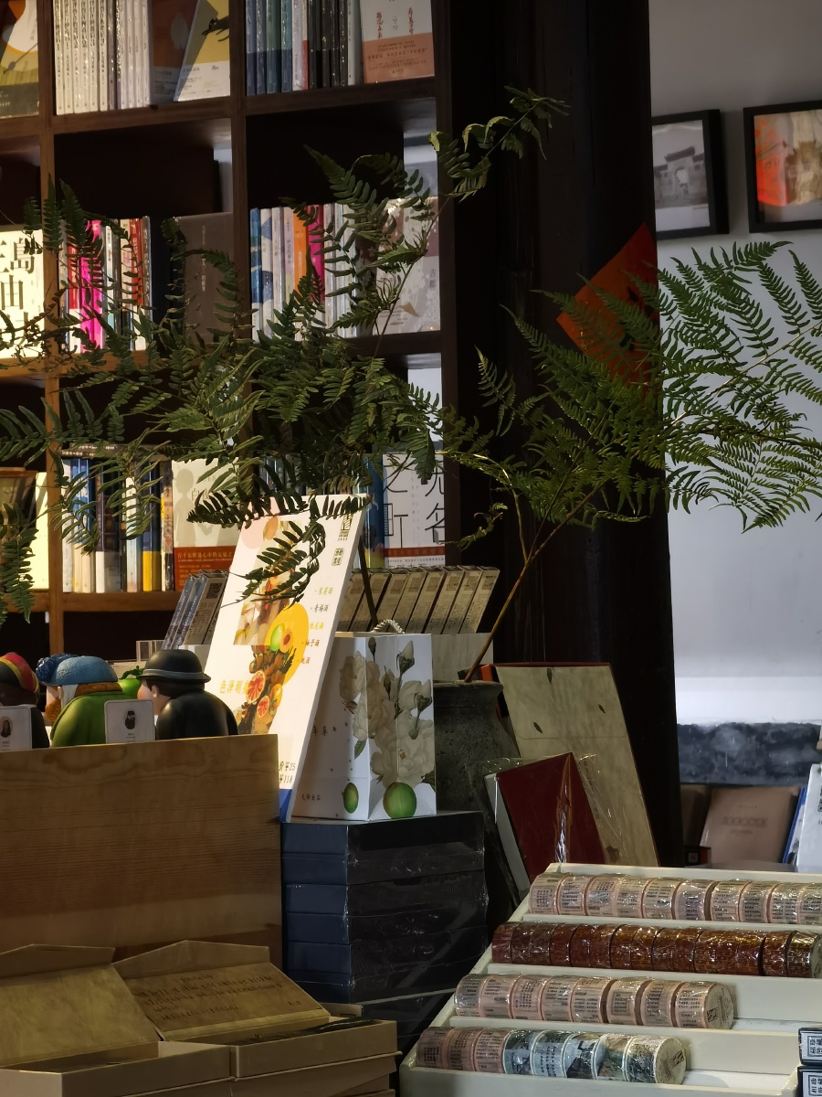 浙江松阳先锋书店