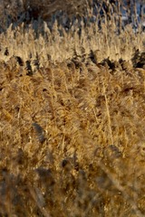 6D1535D4-F269-4F26-8A13-9DE321F96ED0/L0/001