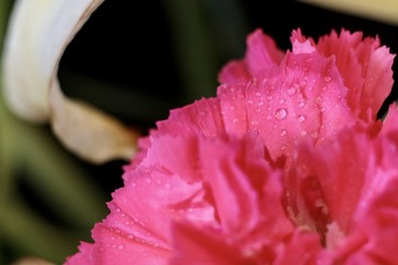 F1A083FB-F558-4F83-8E86-FDE1EA05DD4C/L0/001