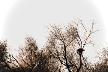B5EA7C71-B203-4020-AAA8-79BC279606A5/L0/001