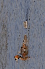 D76450B9-1560-4976-A8BB-87C0D723E943/L0/001