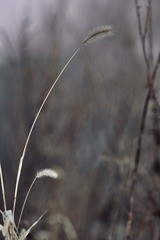 011AD13F-A5E0-472D-AB60-013EA72A89DC/L0/001