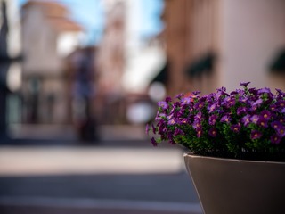 DSCF3483