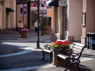 DSCF3480