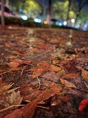 1C79C215-7E37-40F9-8E93-C6EDEE5A20F2/L0/001