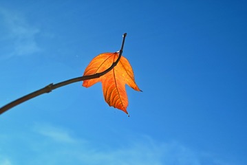 1010943
