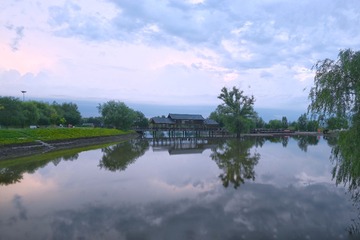 976533