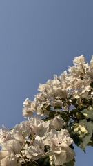 F1ED56DF-41C9-456B-AD7B-FA2B3012329F/L0/001