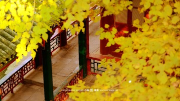 505056E7-7D79-40D1-B923-4381E7631A2D/L0/001