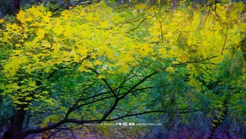 D1DD873E-D982-4AC1-9D64-C0255223054F/L0/001