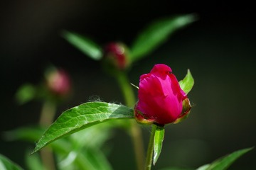 5987F0B6-FF56-4F6E-8D55-7F0D7199C12B/L0/001