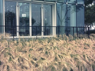 Untitled-10