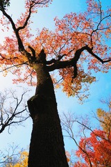 992FD7FA-CE62-4776-A09E-8A2F8A87CE32/L0/001