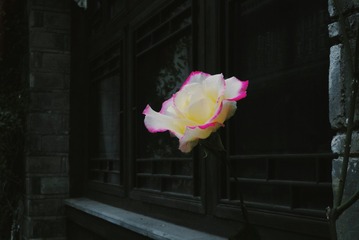 11340EF5-64F9-455F-B607-7C0FEE93F0FC/L0/001