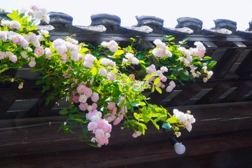 C3628868-C195-41D7-B6B1-1630030D8927/L0/001