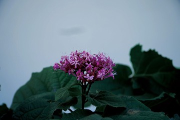 AFDDEDB9-5EDE-4949-95EE-F8BEA0654806/L0/001