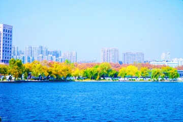 CD772391-DAAB-45D5-8D13-AACB0EBA8030/L0/001