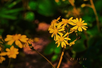 216D873A-50C9-4DED-8B74-85D4BD4C840D/L0/001