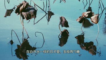 85C58A42-1139-417D-A416-4BB3F3FC11E9/L0/001