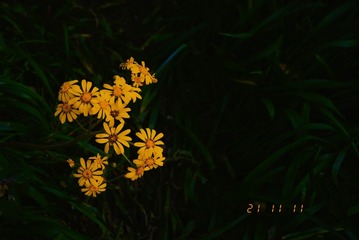 380A9805-074E-454B-B14C-D887E4BFF8E4/L0/001