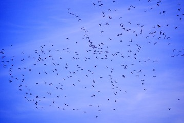 47199B7C-F8B6-4AE2-BC14-FEB12EE73750/L0/001
