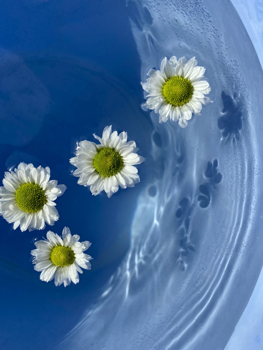 水中花蓝色系列