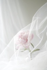FA66D655-1815-4EBA-9067-DFFDD57377FF/L0/001