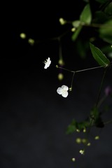 F046114C-0199-45FB-A314-DD0C9C570E79/L0/001
