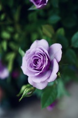 0EB9474D-ADF1-4913-B782-9E3AF3F00B28/L0/001
