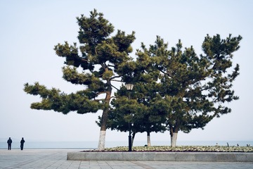 DB0B2ED5-B158-43BC-9DE6-B1161F9A7B04/L0/001