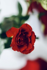 42F29BA8-58FA-4424-81E4-E24ED3E30F25/L0/001