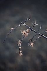 8B821A62-000A-440D-A0F2-970ADE0AAD6C/L0/001