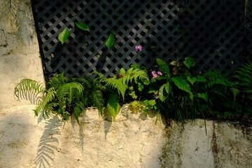 3A9C5312-F3D1-4B03-8FCB-5A2CDC6BA408/L0/001