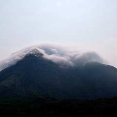 A07FF1D2-46AB-4D50-96E4-5DC84952A09C/L0/001