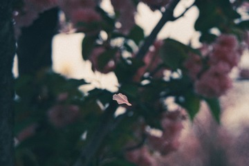 98400638-D72F-4D5A-8B65-018134959170/L0/001