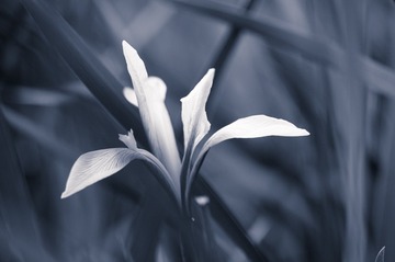 _DSC3777-Edit-1-2