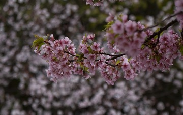 D567A106-D25E-4D86-955C-A4BFB21BB9E5/L0/001