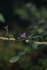 579A9420-4808-4C03-A157-932D95A8CF15/L0/001