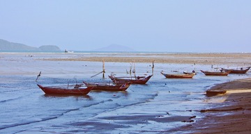 IMG_2776(1)