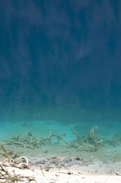 九寨沟的一滩水.