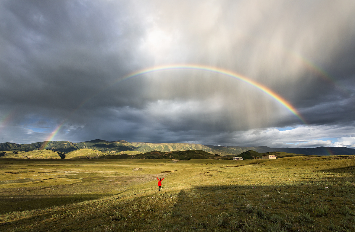 拥抱彩虹 - 飞蝗 - 图虫