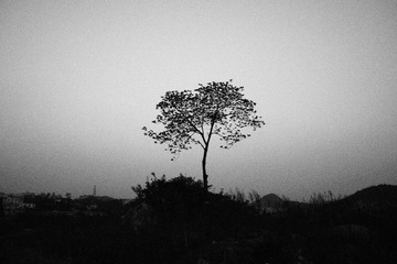 P4230742.jpg