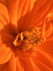 3EC65686-6763-4E79-B3DB-C13C1EE78F52/L0/001