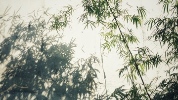 F5F5DD52-4B2E-4B51-9DCD-93AC3299C9E9/L0/001